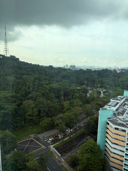 Hillview Regency (D23), Condominium #571120831